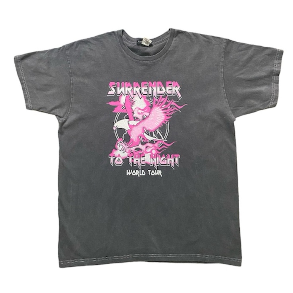 [PLT] World Tour Surrender Graphic Washed T Shirt - Picture 5 of 6